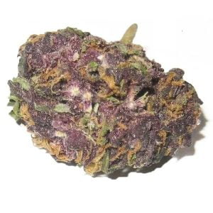 Purple Kush (Indica)