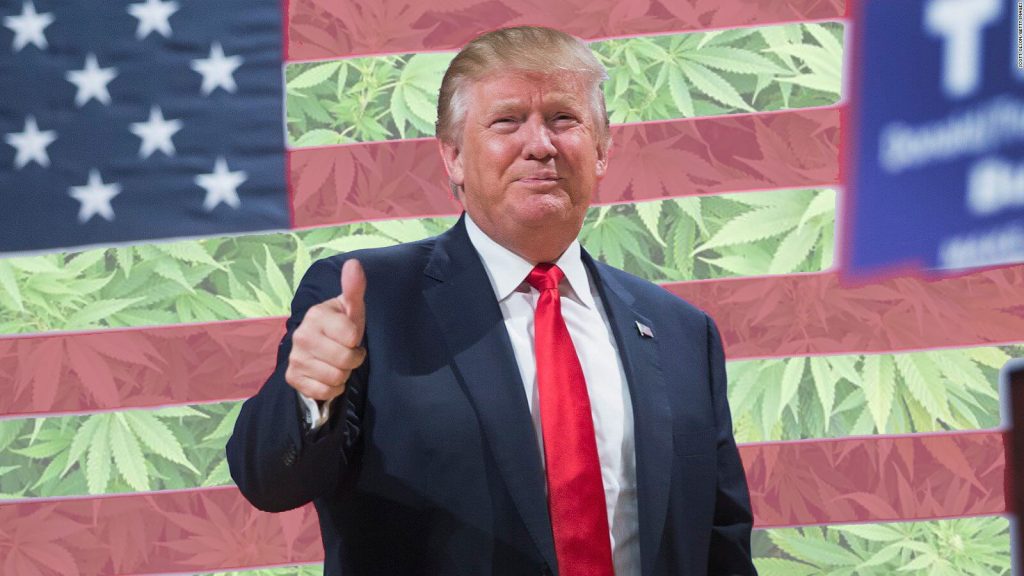 You are currently viewing Trump signs spending bill that includes medical marijuana protections