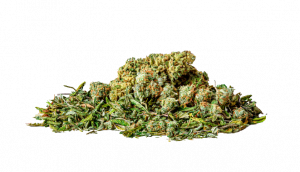 Read more about the article Mail Order Marijuana